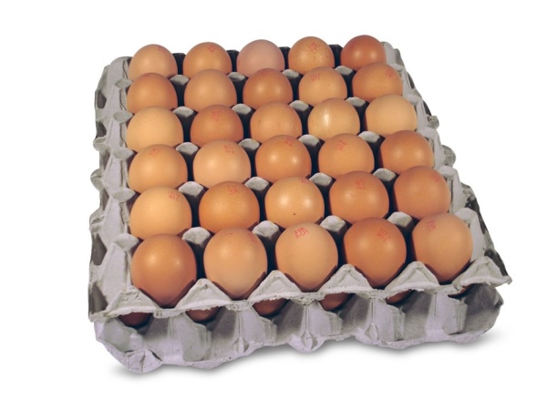 Яйцо C1 коричневое (1х360)/Реал Инвест