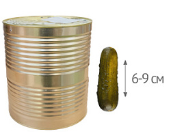 Огурцы маринованные Sunfeel , 10,2 л