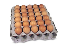 Яйцо C1 коричневое Реал Инвест, 55 г