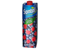 Напиток Santal Лесные ягоды, 1 л