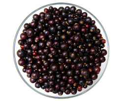 Черная смородина