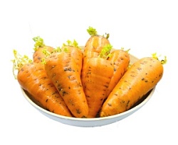 Морковь в ПП мешке, ≈ 30-40 кг